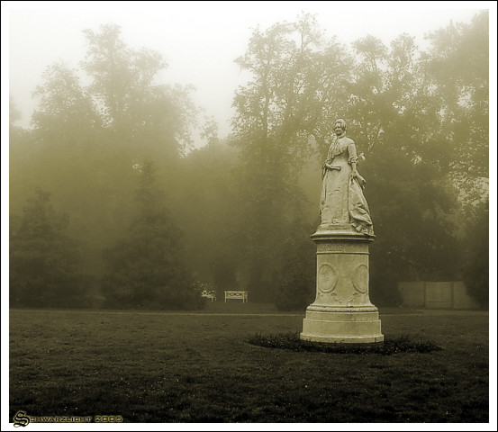 Alexandrine im Nebel