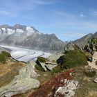 Alexgletscher mit Gletschergarten