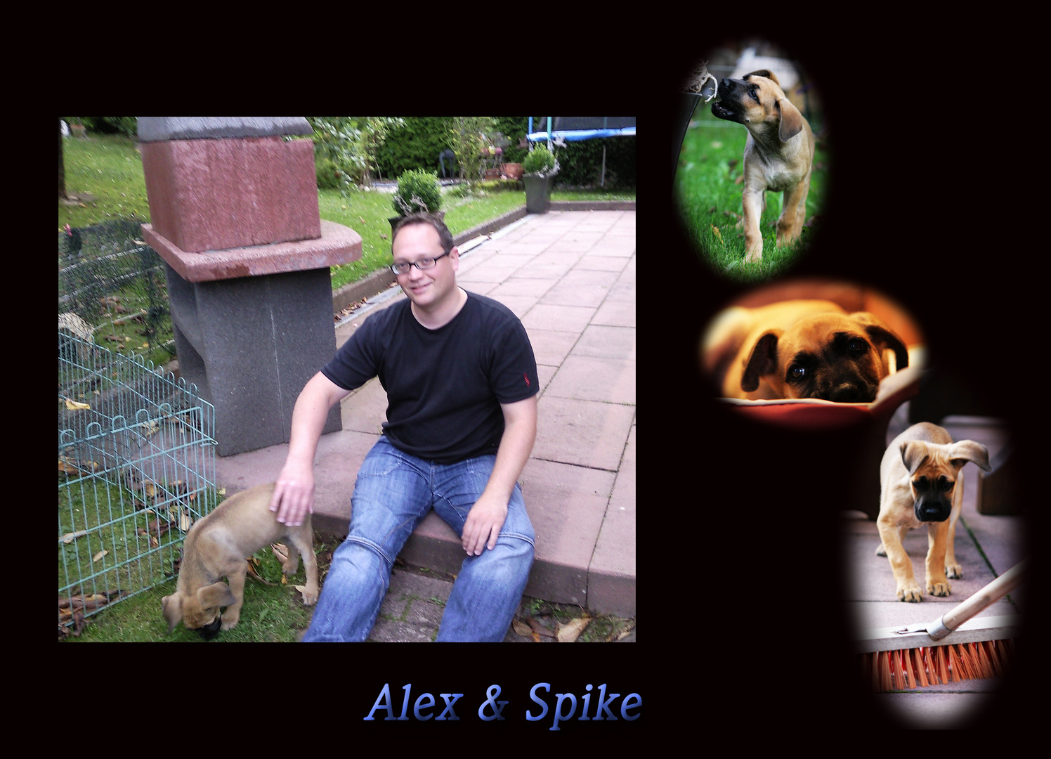 Alex&Spike