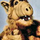 Alf