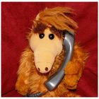 Alf nach Hause telefo .... ups falscher Film