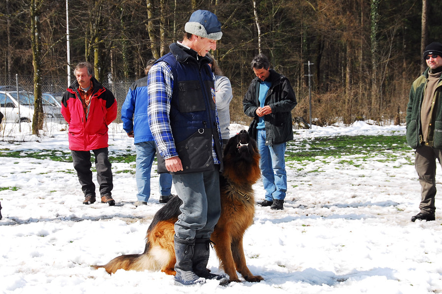 Alf und ich in der Unterordnung