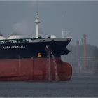 ALFA GERMANIA / Oil ProduktsTanker / Rotterdam