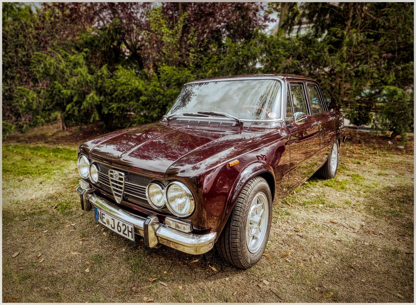 Alfa Romeo