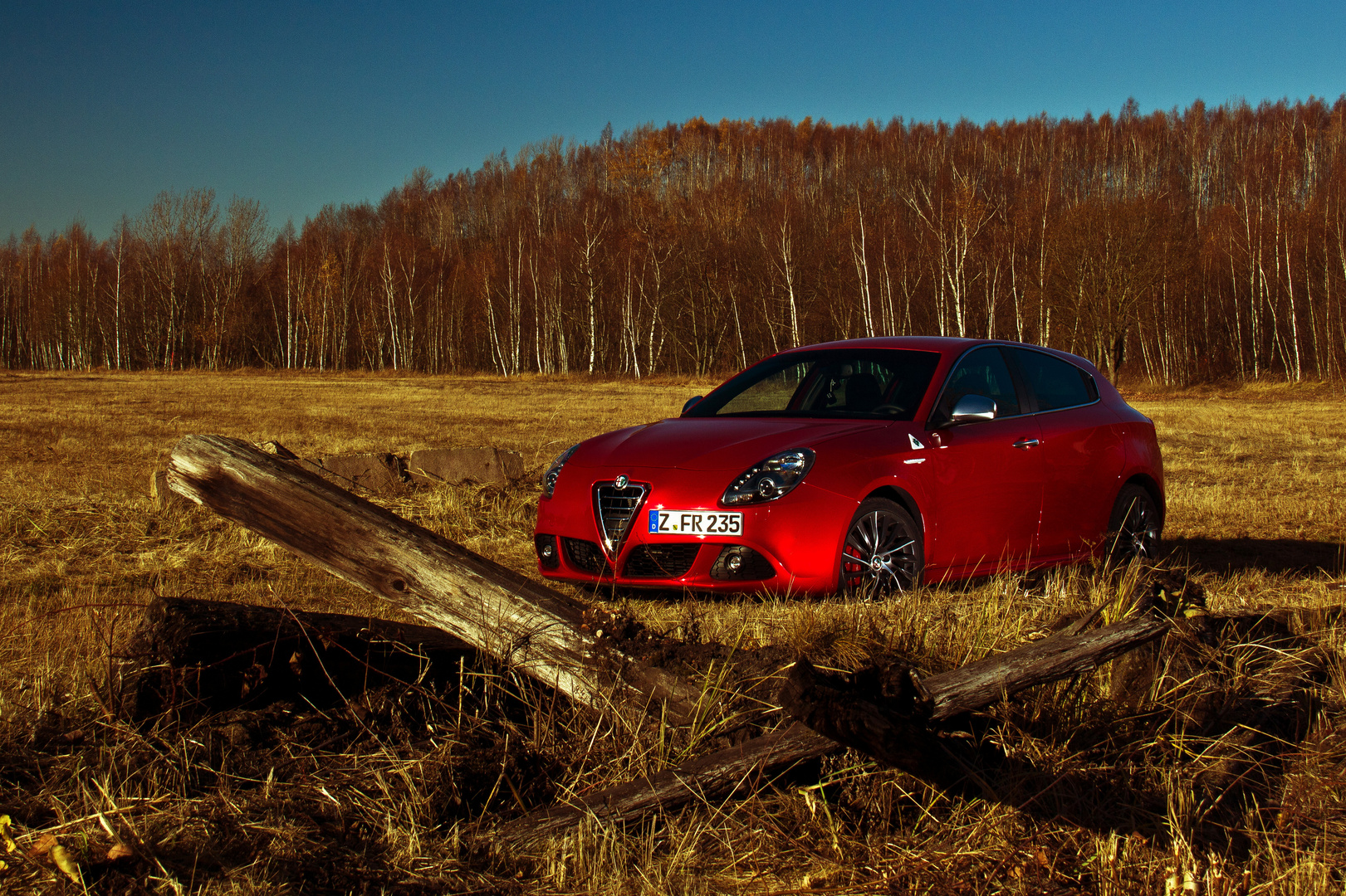 Alfa Romeo Guillietta QV Limited Edition