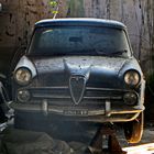 Alfa Romeo Scheunenfund