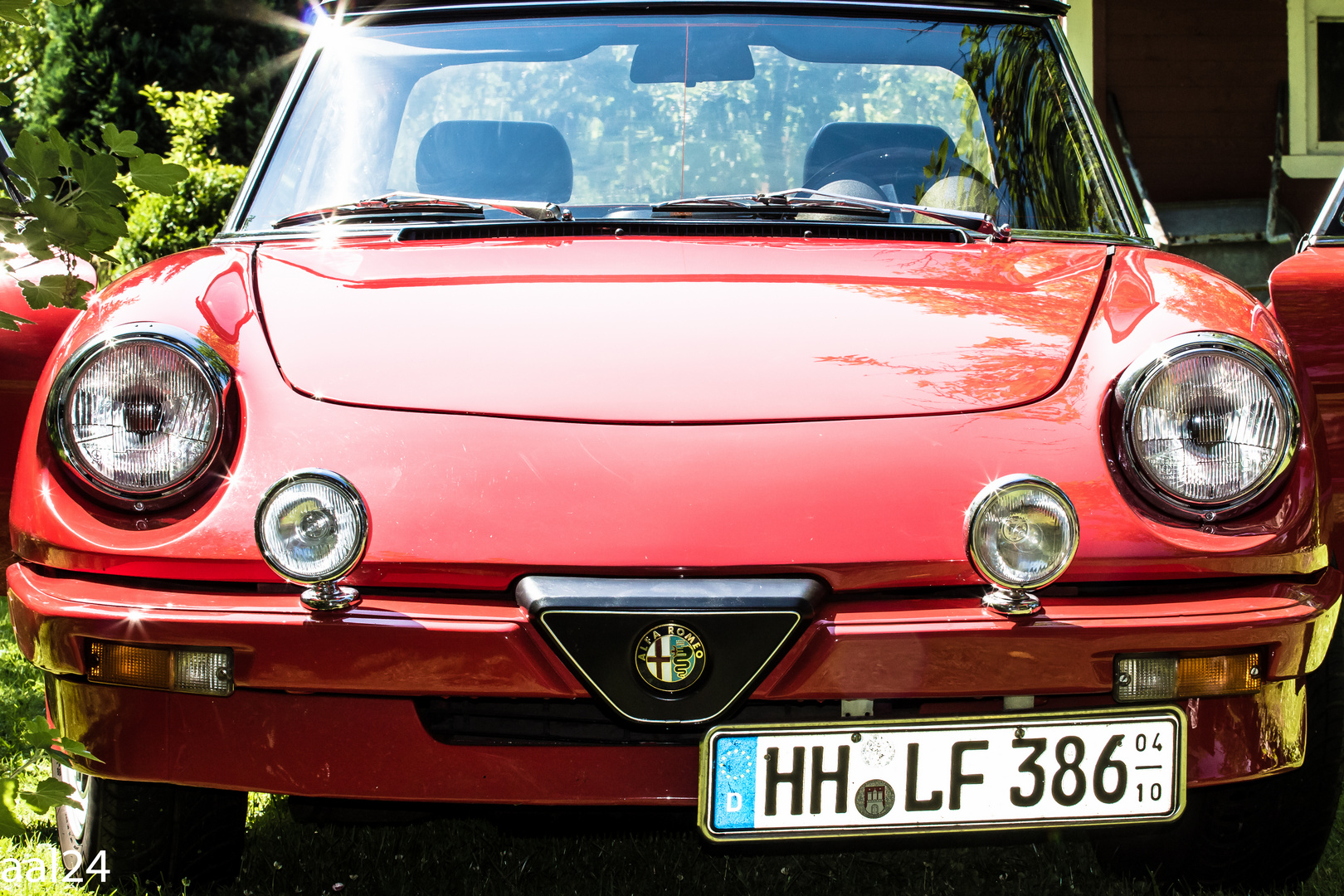 Alfa Spider