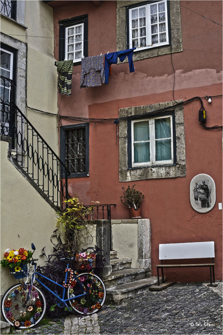 Alfama pura