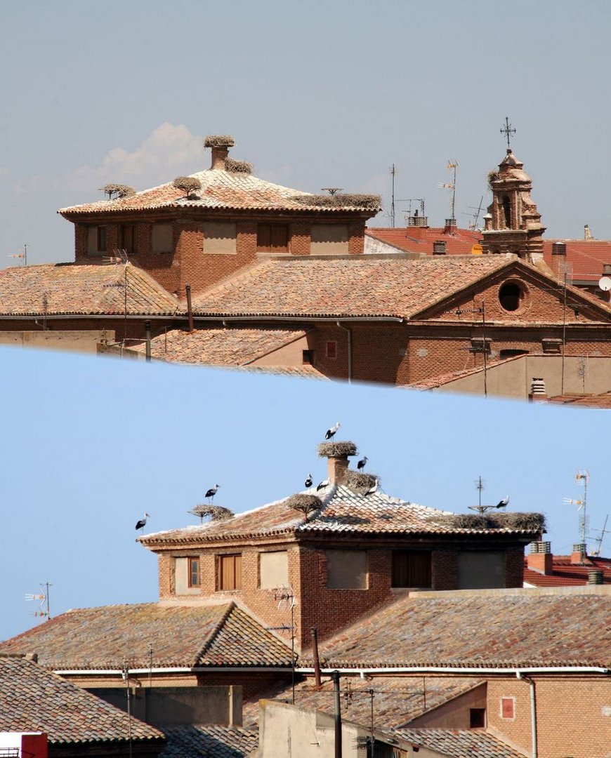 Alfaro (La Rioja) y sus cigüeñas