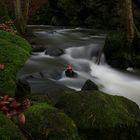 Alfbach, Strohner Schweiz