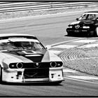 Alfetta GTV6 on track