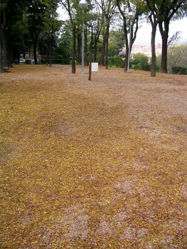 Alfombra de Otoño