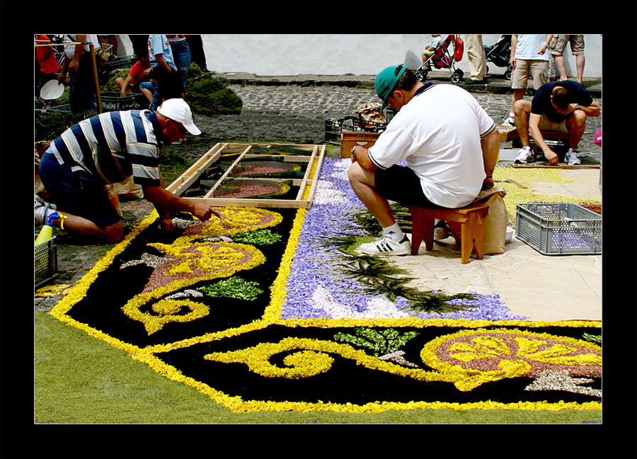 ...Alfombras de Orotava...