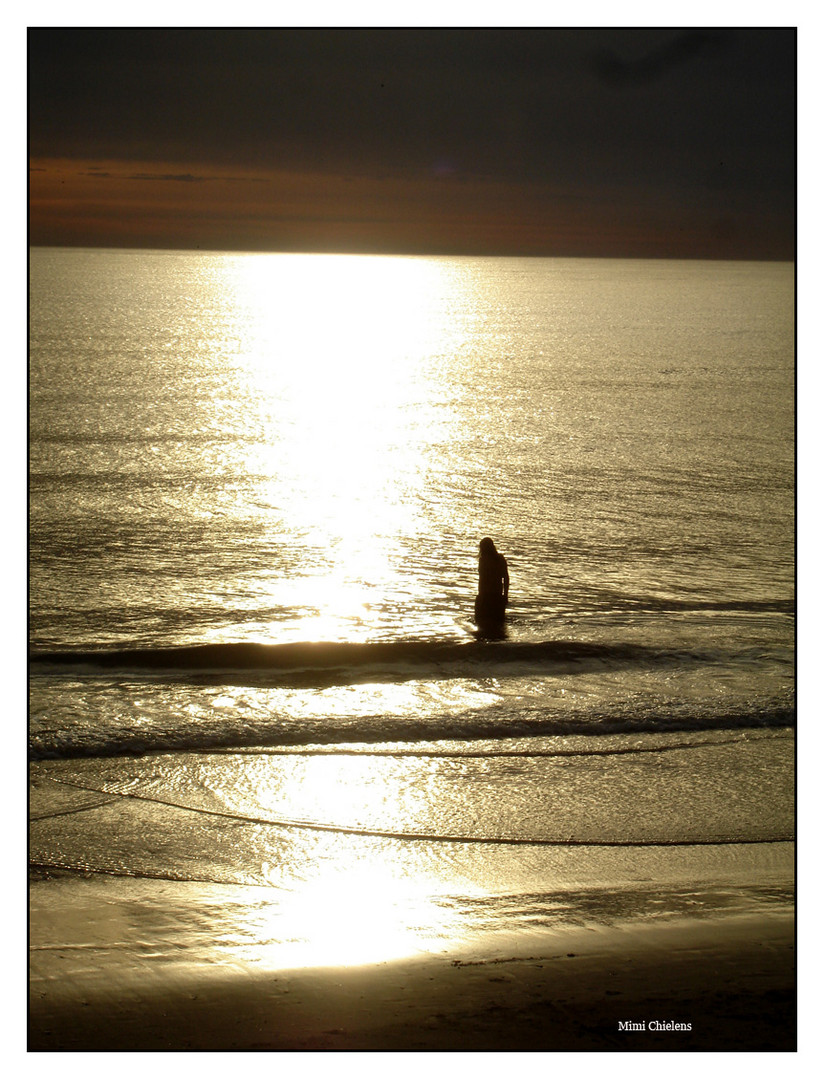 Alfonsina y el mar