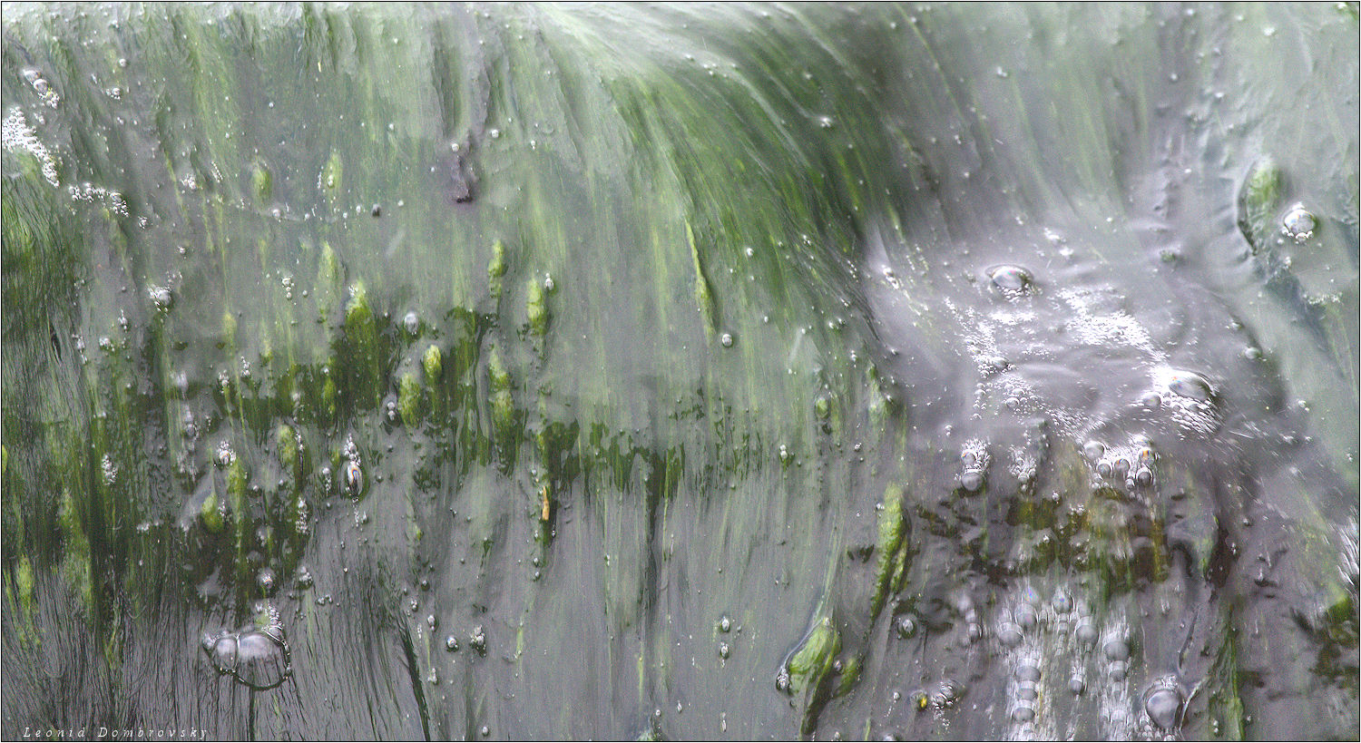 Algae in a 'waterfall'