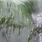 Algae in a 'waterfall'