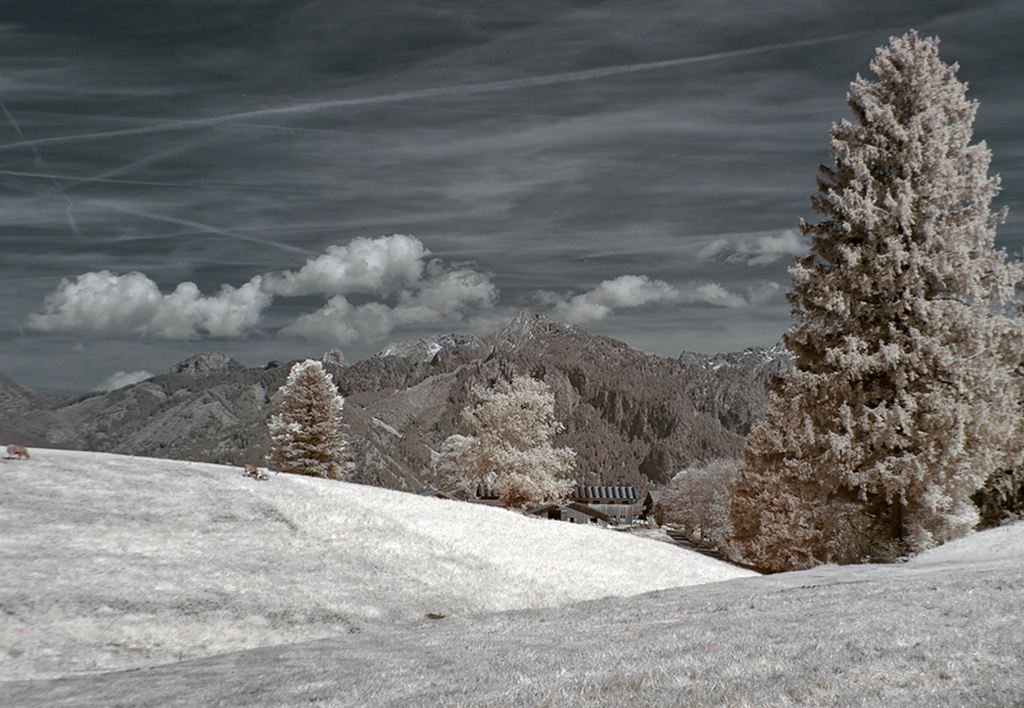 Algäu