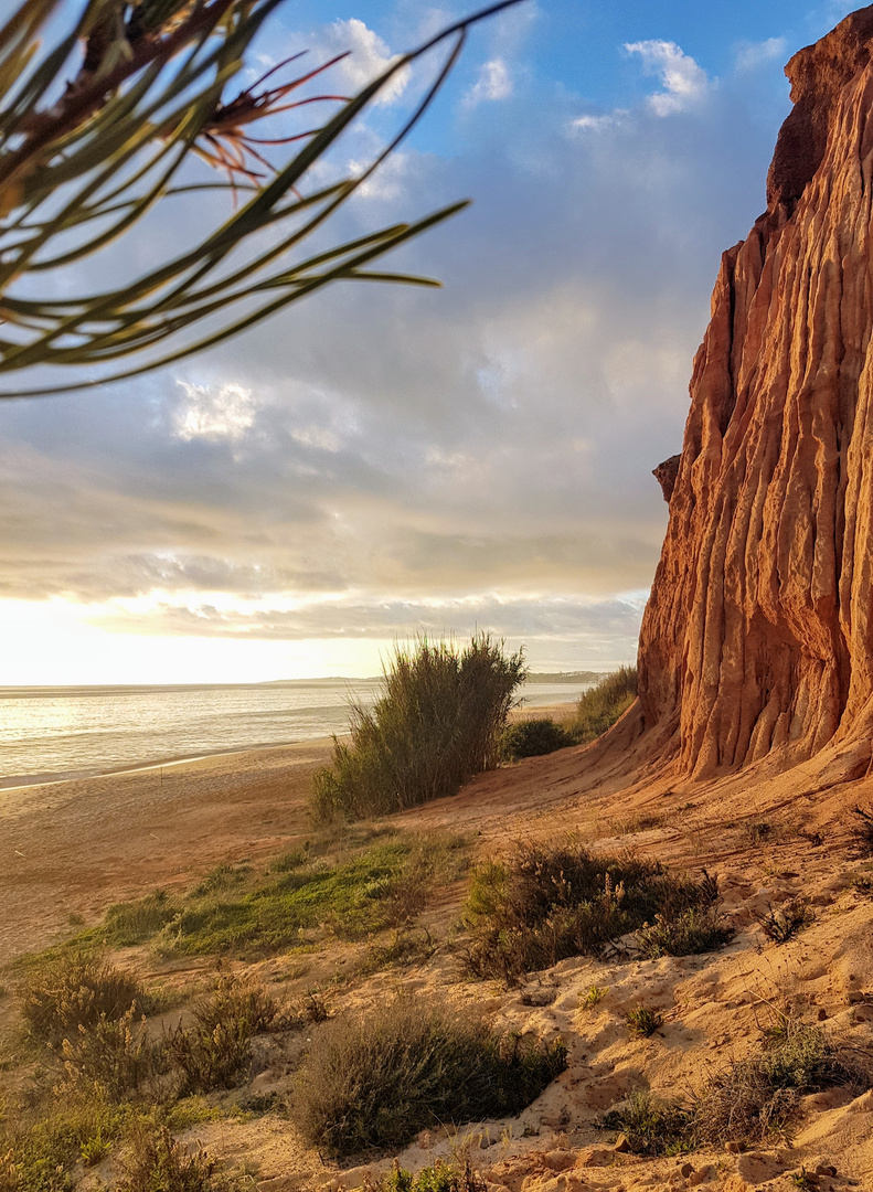 Algarve - December-Dawn