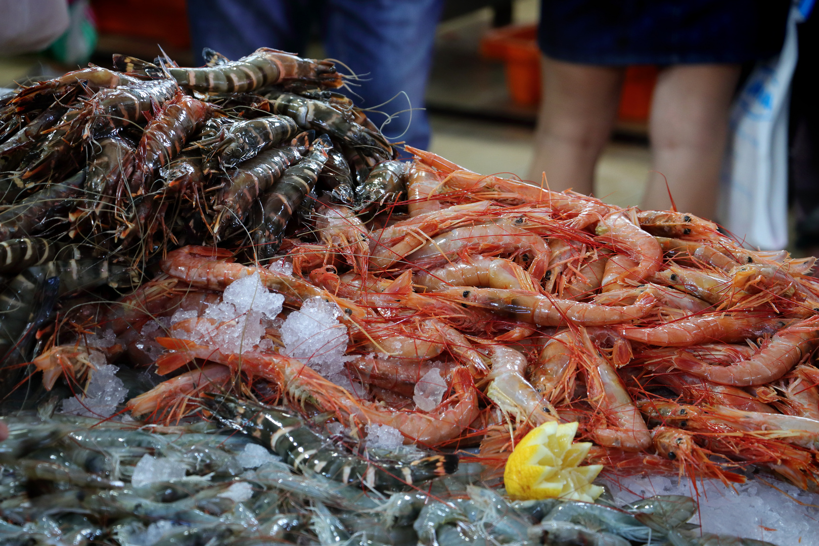 Algarve - Fischmarkt in Loulé