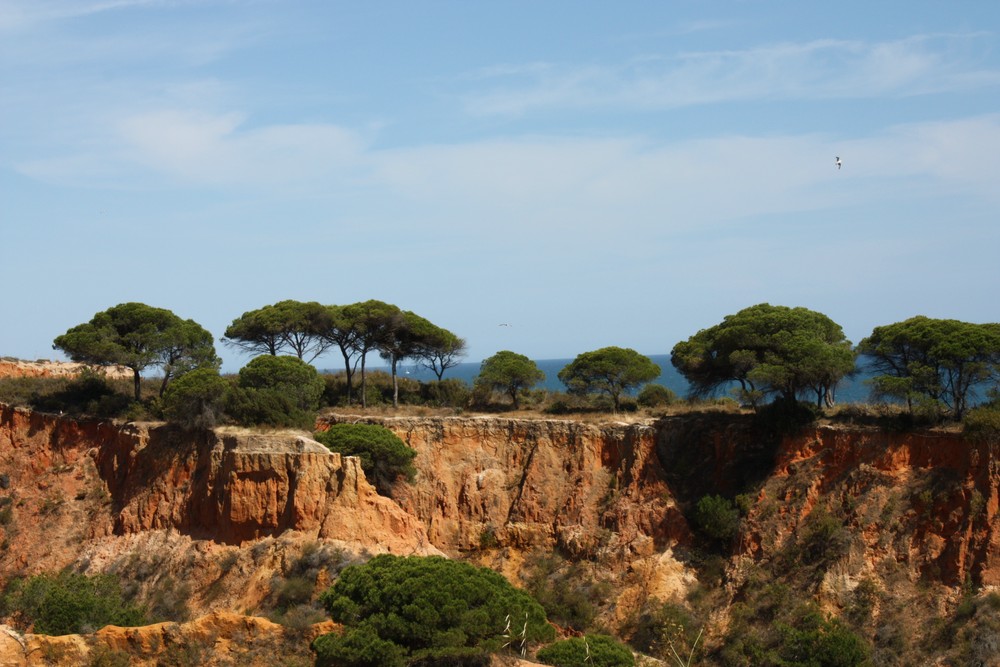 Algarve (Portugal), Olhos de Agua, Praia da Falesia