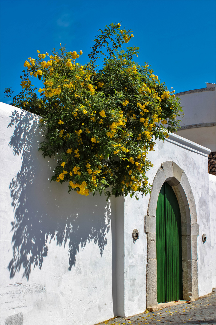 Algarve street_3