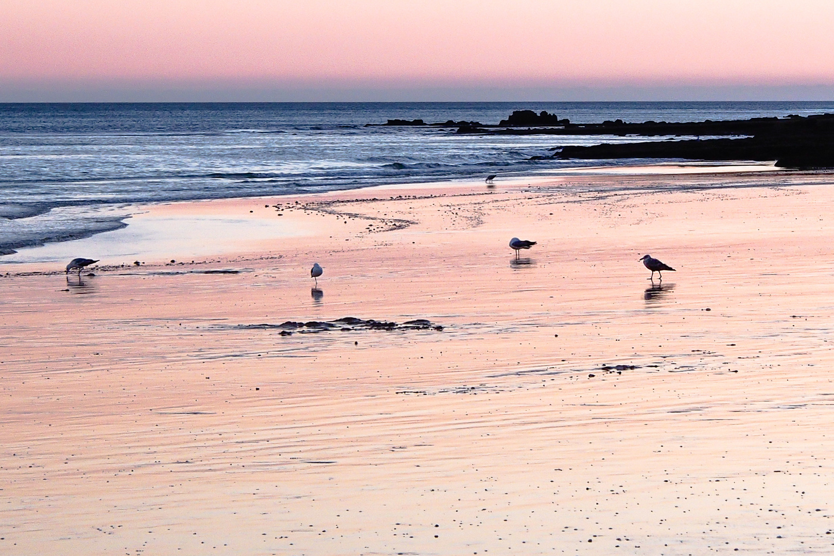 Algarve Sunset