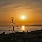 Algarve sunset time