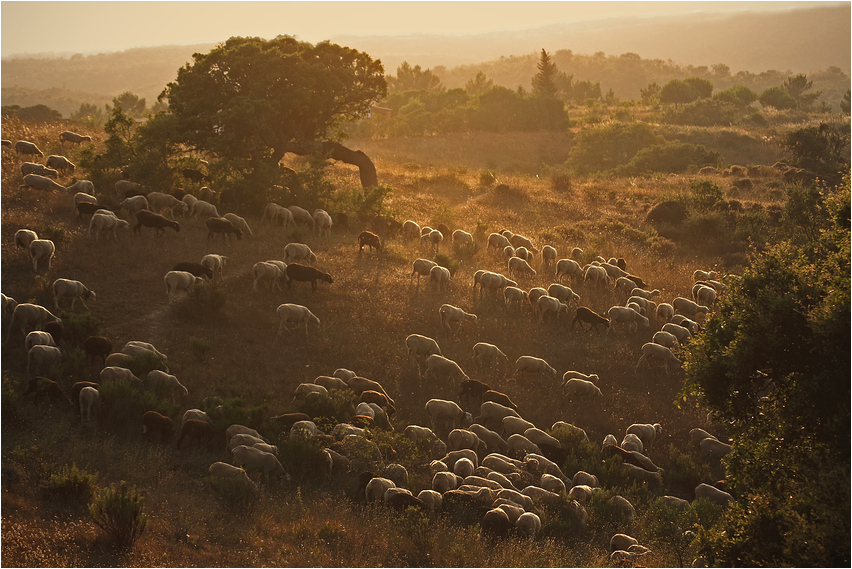 Algarve turismo rural...