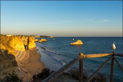 Algarve2