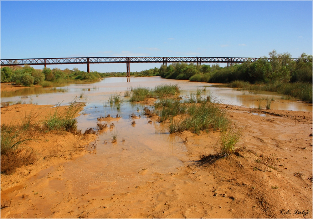 *** Algebuckina Bridge and Waterhole ***