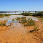 *** Algebuckina Bridge and Waterhole ***