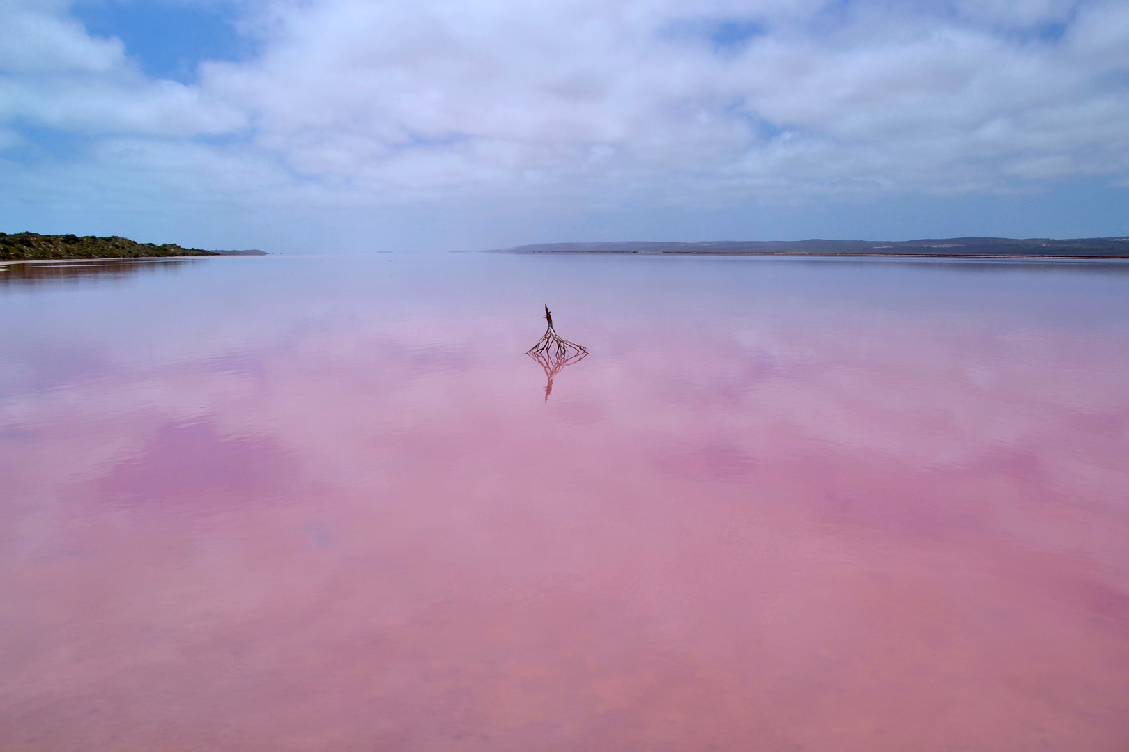 Algenblüte im Pink Lake