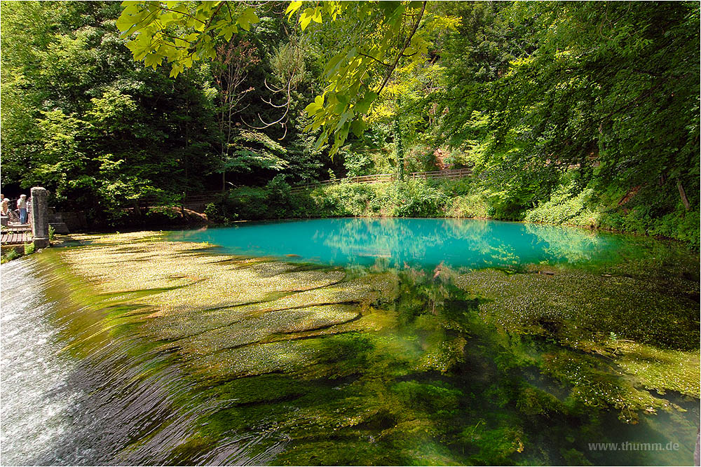 Algenflut am Blautopf