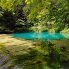 Algenflut am Blautopf