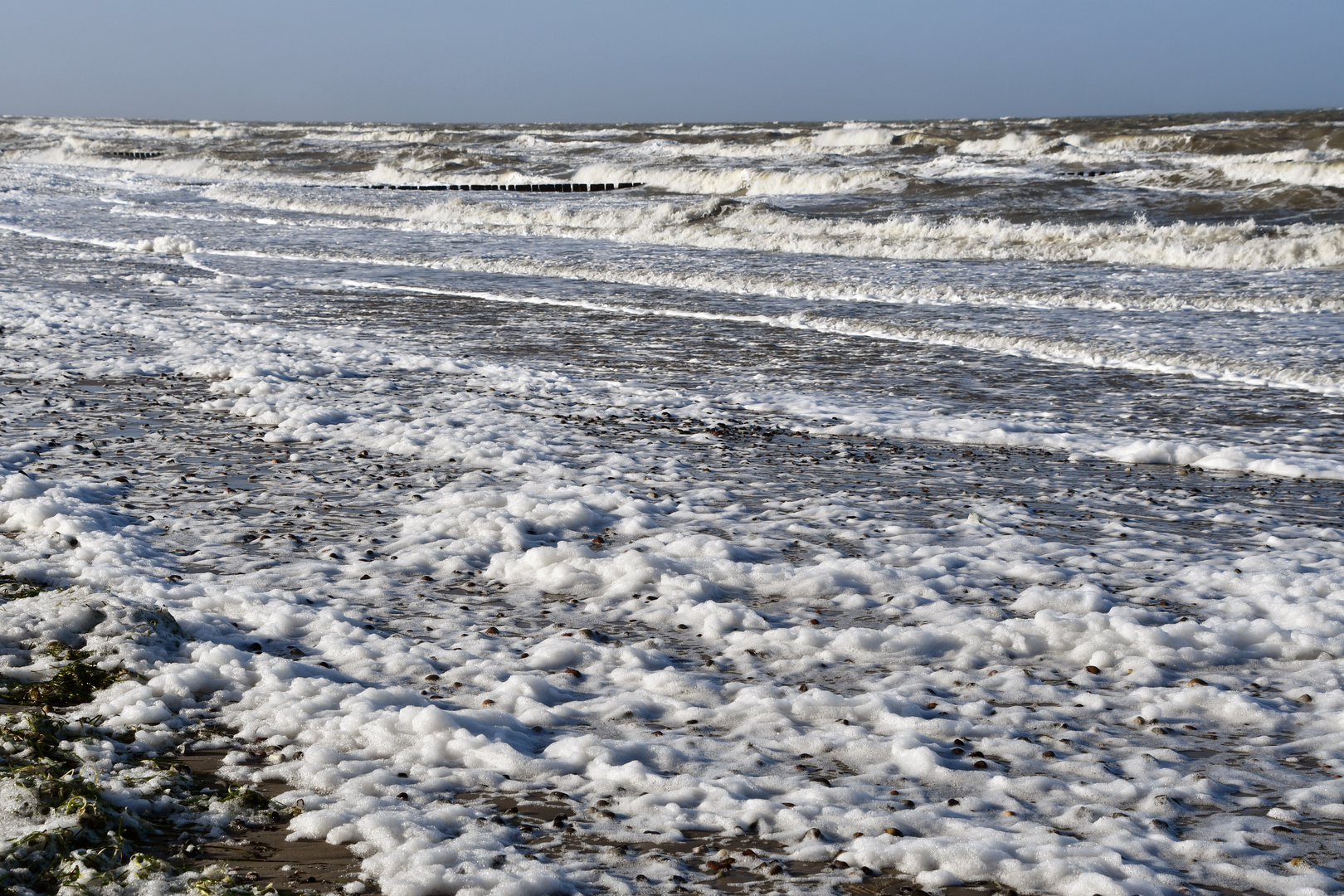 Algenschaum am Strand von Warnemünde