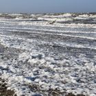 Algenschaum am Strand von Warnemünde