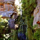 Algeria waterfall