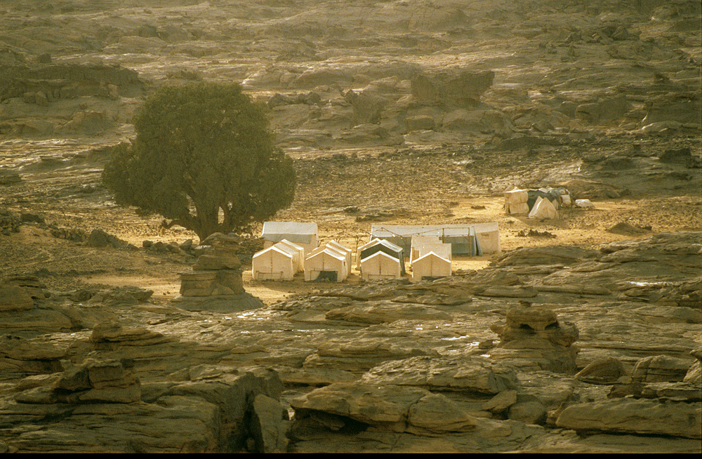 ALGERIEN gegen Abend, Blick auf das Zeltlager von Tamrit