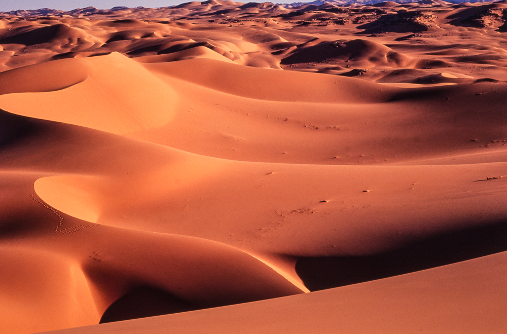 Algerien Tin Merzouga - Grenzbereich Algerien/Libyen