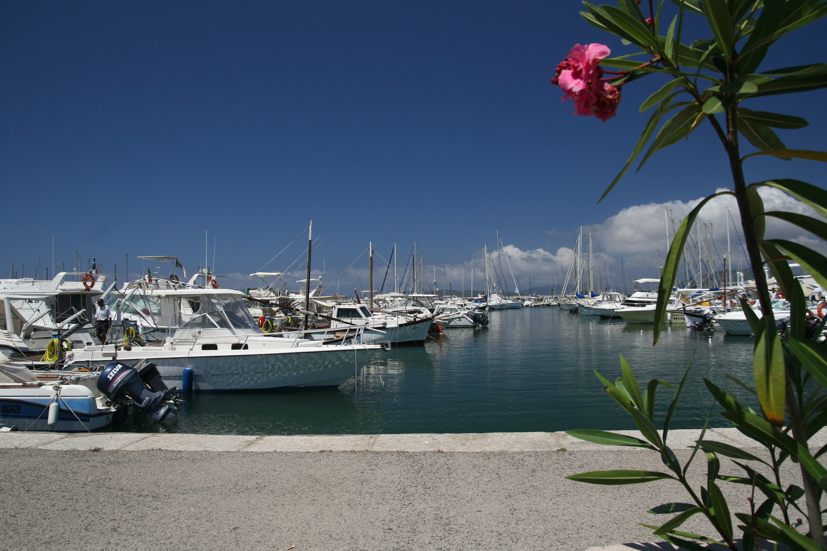 . . . Alghero