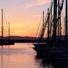 Alghero at Sunset