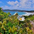 Alghero on the road - Le Bombarde