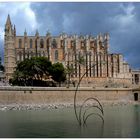 algo de las vacaciones - Palma de Mallorca, catedral