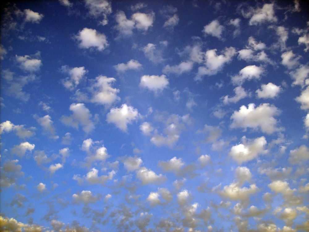 ALGODONES EN EL CIELO