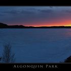 Algonquin