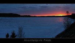 Algonquin