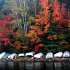 Algonquin Fall Morning