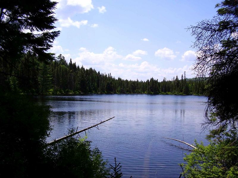 algonquin park