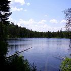 algonquin park