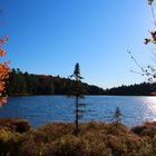 Algonquin Park - Canada